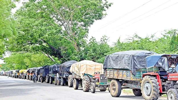 Totapuri Farmers: తోతాపురి కిలో రూ.ఐదే