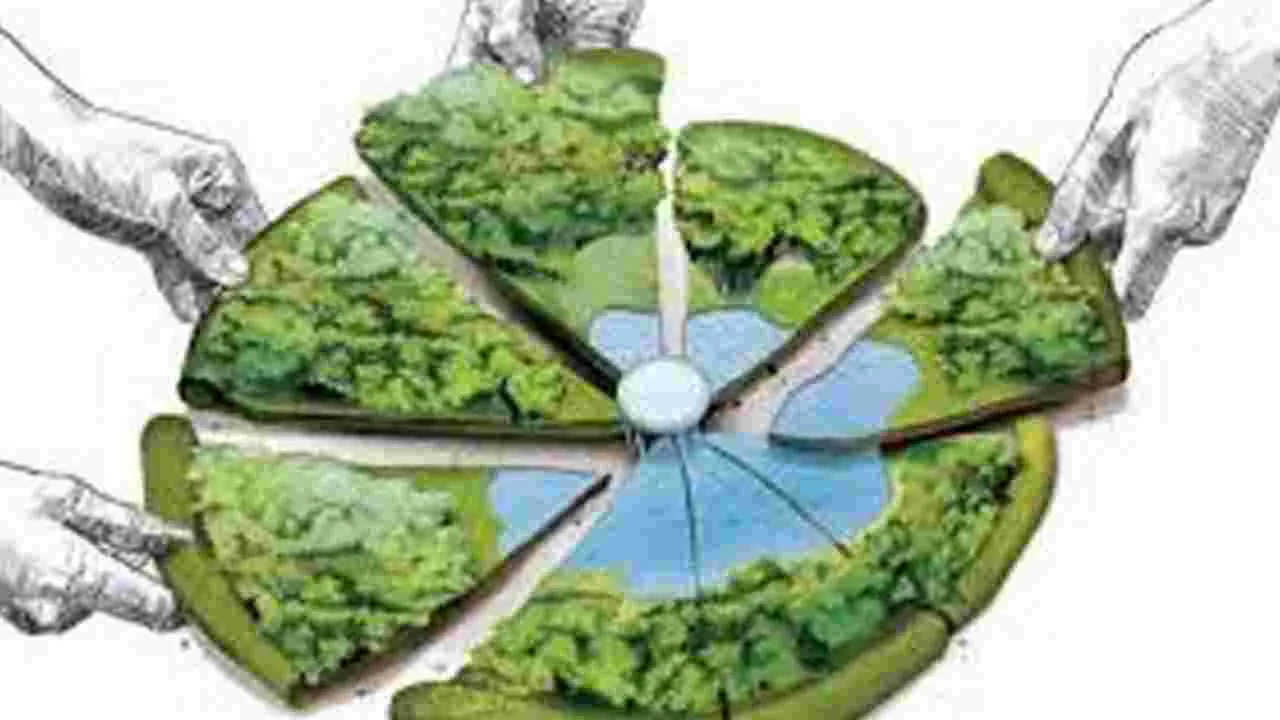 Land Encroachment: ప్రభుత్వ భూములను పరిరక్షించాలి 