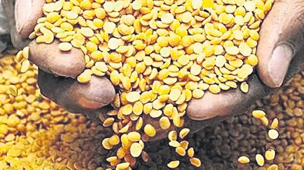 పేదల కడుపు కంది..నది!