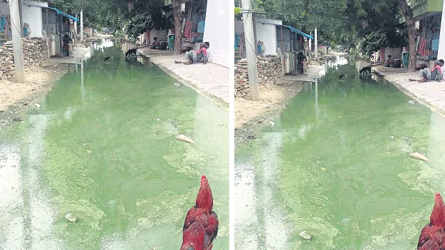 ముంగిట్లో మురుగు