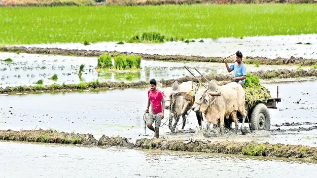 CM Chandrababu Naidu: పక్కాగా ఖరీఫ్‌ ప్రణాళిక