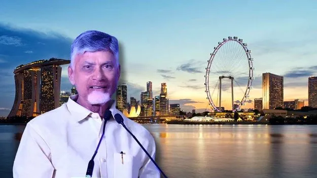 Singapore Visit: నేడు సింగపూర్‌కు ముఖ్యమంత్రి చంద్రబాబు