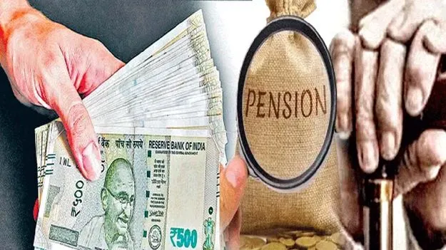 - సర్టిఫికెట్‌కు రూ.15 వేలు నుంచి రూ.20 వేల వరకూ వసూలు చేస్తున్నట్టు ప్రచారం