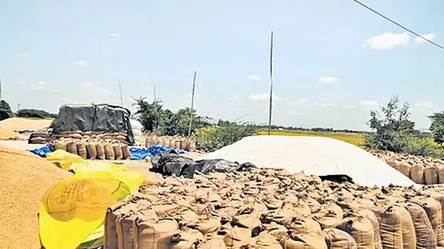 AP Govt: ఈ వారంలోనే ధాన్యం బకాయిల సొమ్ము విడుదల