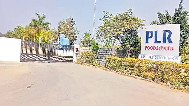 Mango Farmers: నిండా ముంచి పరామర్శలా