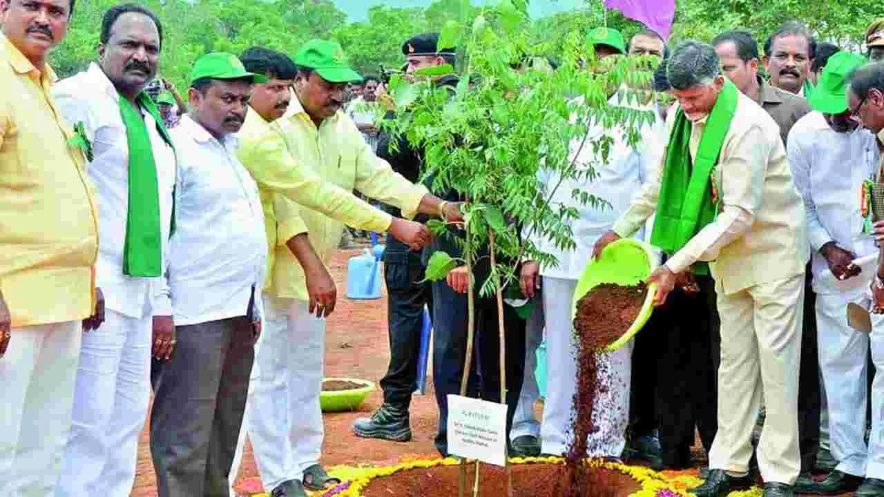 5న కోటి మొక్కలు నాటాలి: సీఎం