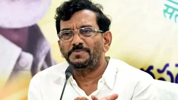 Somi Reddy: పేర్ని, ప్రసన్న మాటలన్నీ జగన్‌ స్క్రిప్ట్