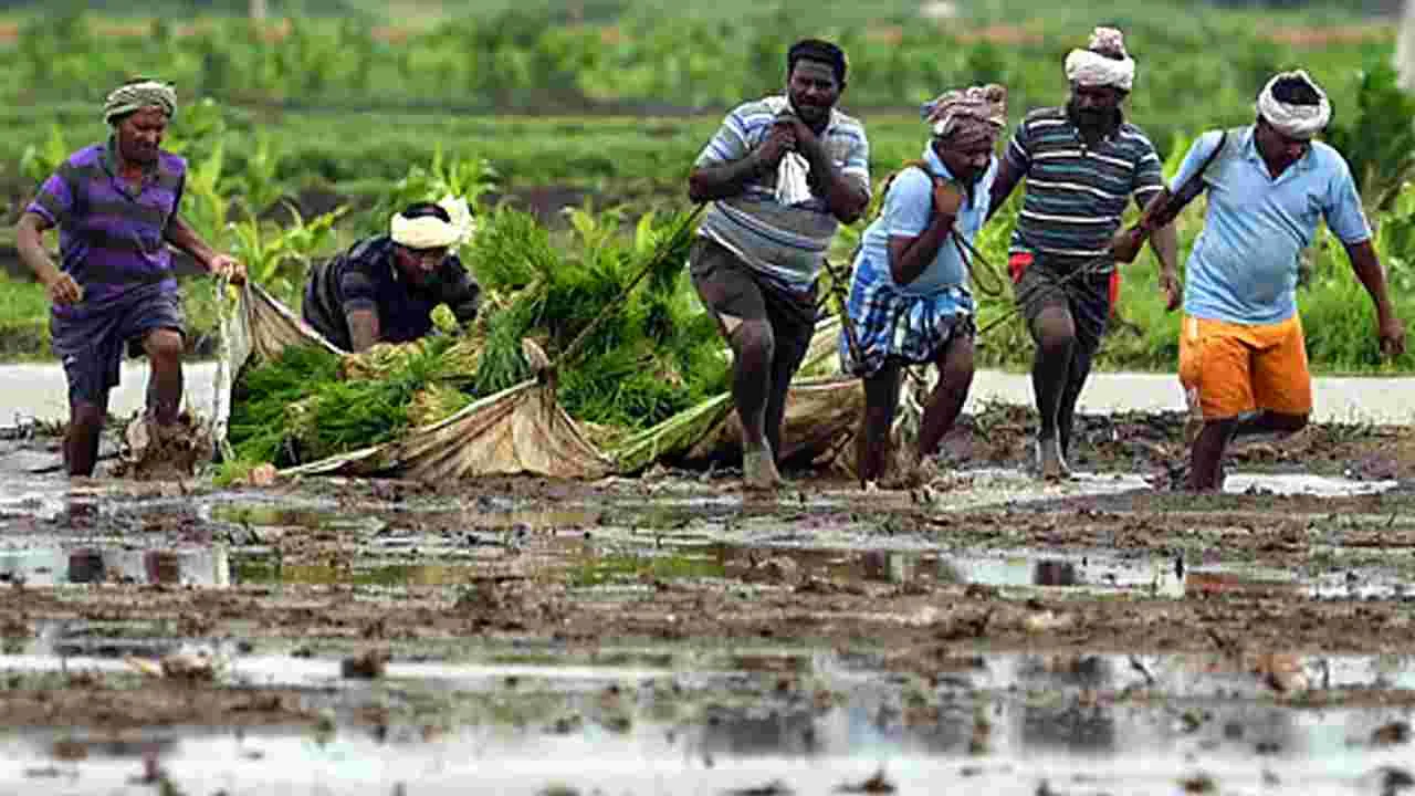 AP Government: సాగుకు సర్కారు అండ