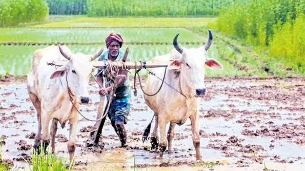 Agricultural Subsidies: అన్నదాత-సుఖీభవ జాబితాలు సిద్ధం