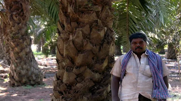 AP Oil Palm Farmers: ఆయిల్పామ్ రైతుల ప్రయోజనాలు కాపాడాలి
