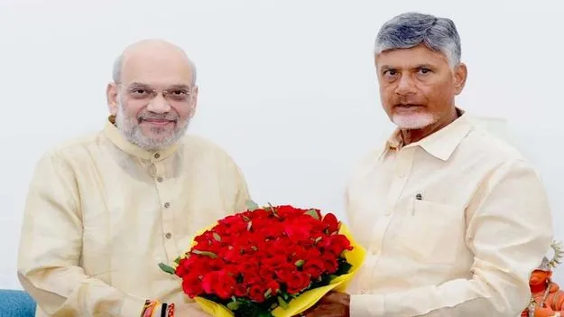 Metro Projects Discussion: నేడు ఢిల్లీకి చంద్రబాబు