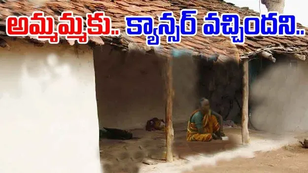 Grand Mother: అమ్మమ్మకు క్యాన్సర్.. మనవడు ఏం చేశాడంటే..