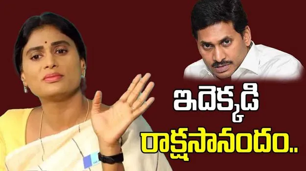 YS Sharmila: ఇదేం రాజకీయం ? ఇదెక్కడి రాక్షస ఆనందం ?