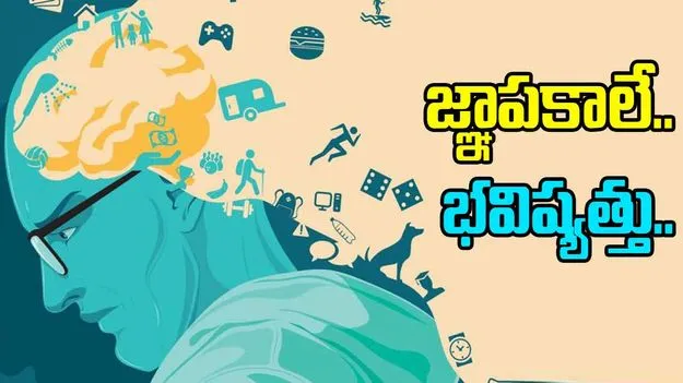 Memory: భవిష్యత్‌ను నిర్ణయించేది జ్ఞాపకాలే.. సైంటిస్టులు చెప్పిన షాకింగ్ నిజాలు ఏంటంటే..