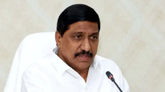 Minister BC Janardhan Reddy: ఏవియేషన్‌ హబ్‌గా ఏపీ