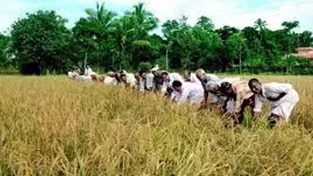 AP Govt: పీఏసీఎస్‌లకు త్రిసభ్య కమిటీల నియామకం