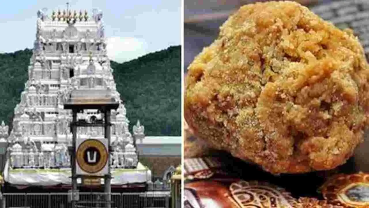లడ్డూ ప్రసాదంపై అసత్య ఆరోపణలు చేస్తే కఠిన చర్యలు: టీటీడీ