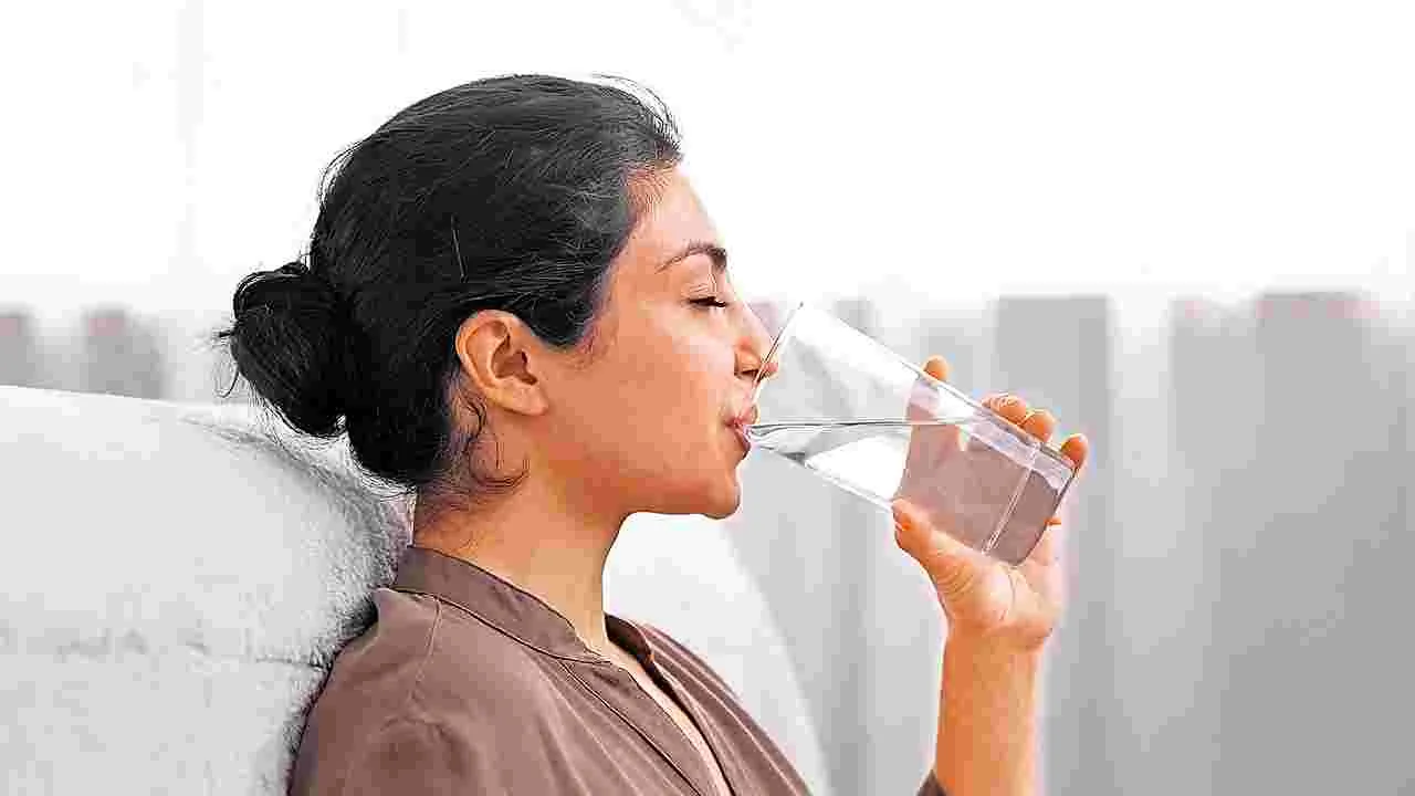 Seasonal Wellness Tips: వాతావరణ మార్పులకు ఇలా