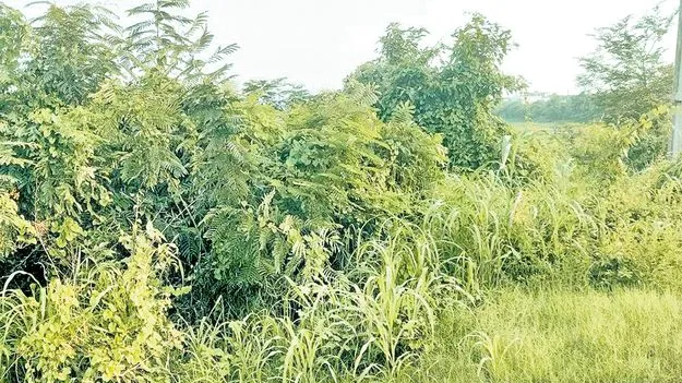 Revenue Department: మళ్లీ మొదలెట్టారు