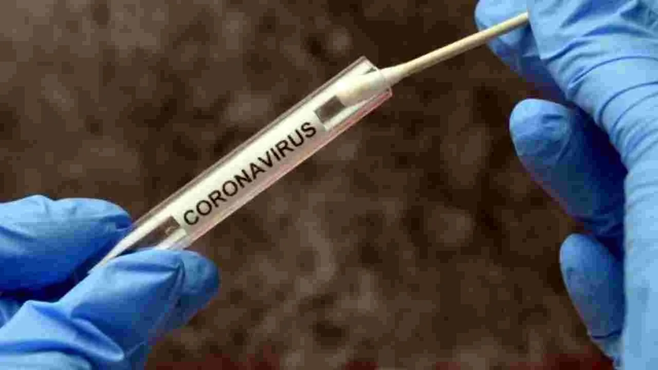 New Covid Cases: రాష్ట్రంలో మరో 4 కొవిడ్‌ కేసులు