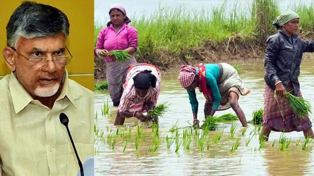 CM Chandrababu: రైతు సంక్షేమమే టీడీపీ ఎజెండా