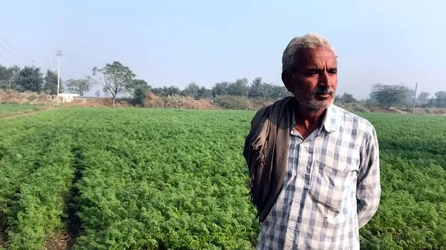 Government Ban:  ఫ్రీహోల్డ్‌ భూములపై మరో 2 నెలలు నిషేధం