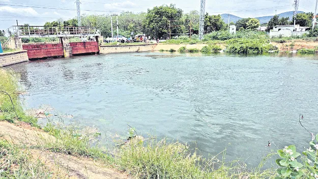 సాగర్‌ కాలువలకు పుష్కలంగా నీరు