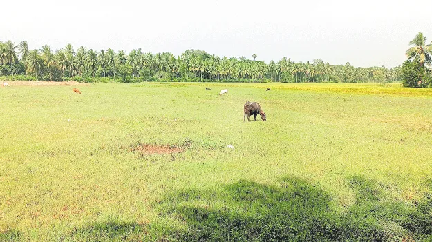 పేరుకే పట్టా.. స్థలం ఎక్కడ?