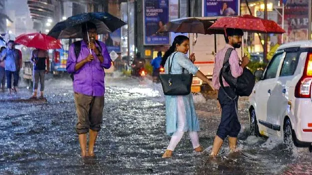 IMD Forecast: ద్వితీయార్థంలో మంచి వర్షాలు