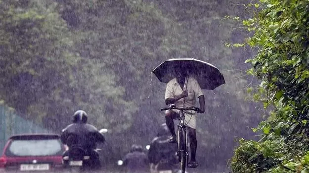 Rainfall Deficit: ముఖం చాటేసిన నైరుతి