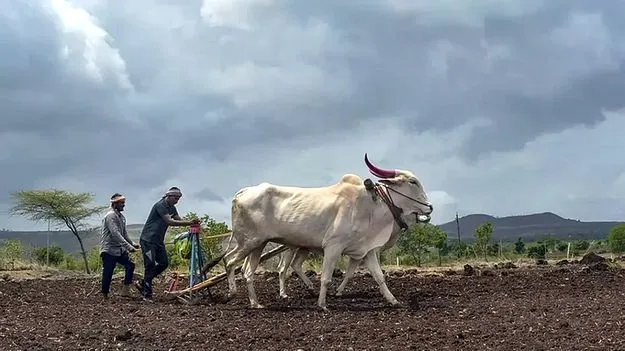 Agricultural Department: బదిలీల హడావుడిలో ఉద్యోగులు..