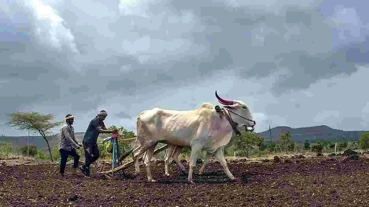 Agricultural Department: బదిలీల హడావుడిలో ఉద్యోగులు..
