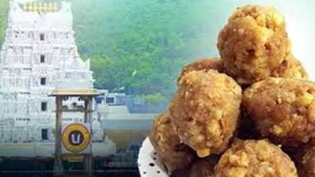 AP High Court: ఏఆర్‌ డెయిరీ ఎండీకి షరతులతో బెయిల్‌