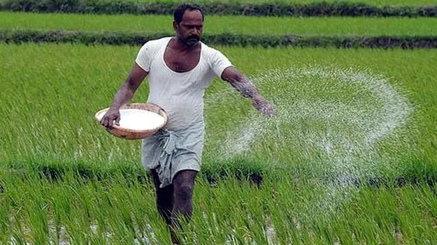 Agriculture Director: ఎరువులు అధిక ధరలకు విక్రయిస్తే చర్యలు
