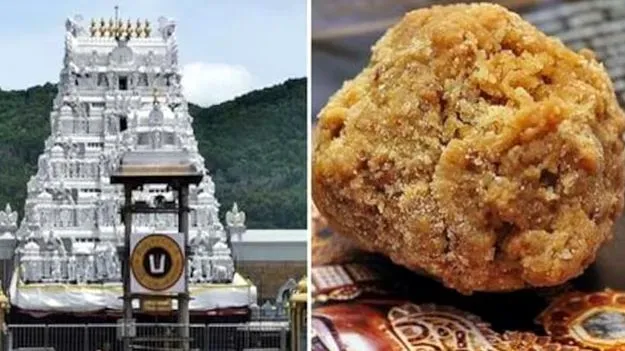 TTD: తిరుమల లడ్డూ.. భక్తుల విశ్వాసానికి ప్రతీక