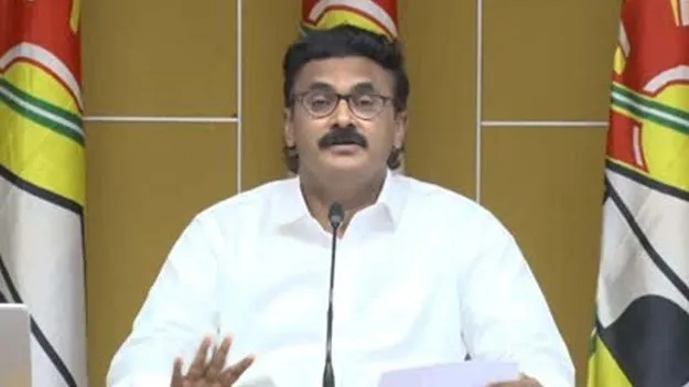 వైసీపీకి తెలిసింది విమర్శలు, వీరంగమే: నీలాయపాలెం