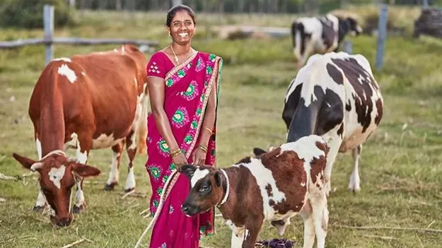 Dairy Plant: చిత్తూరులో ఇంటిగ్రేటెడ్‌ డైరీ ప్లాంట్‌