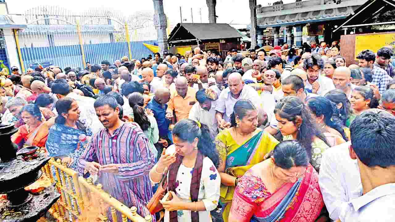 Tirumala Temple Crowd: కొండ కిటకిట
