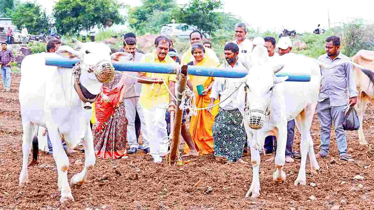 Nimmala Ramanaidu: బనకచర్లతో సీమ సస్యశ్యామలం