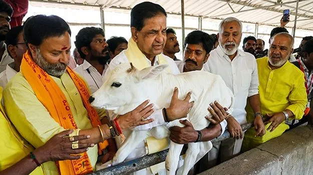 TTD: ఎస్వీ గోసంరక్షణశాలకు మరో డైరెక్టర్