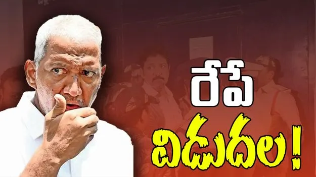 Vallabhaneni Vamsi: వల్లభనేని వంశీకి నకిలీ ఇళ్ల పట్టాల కేసులో బెయిల్