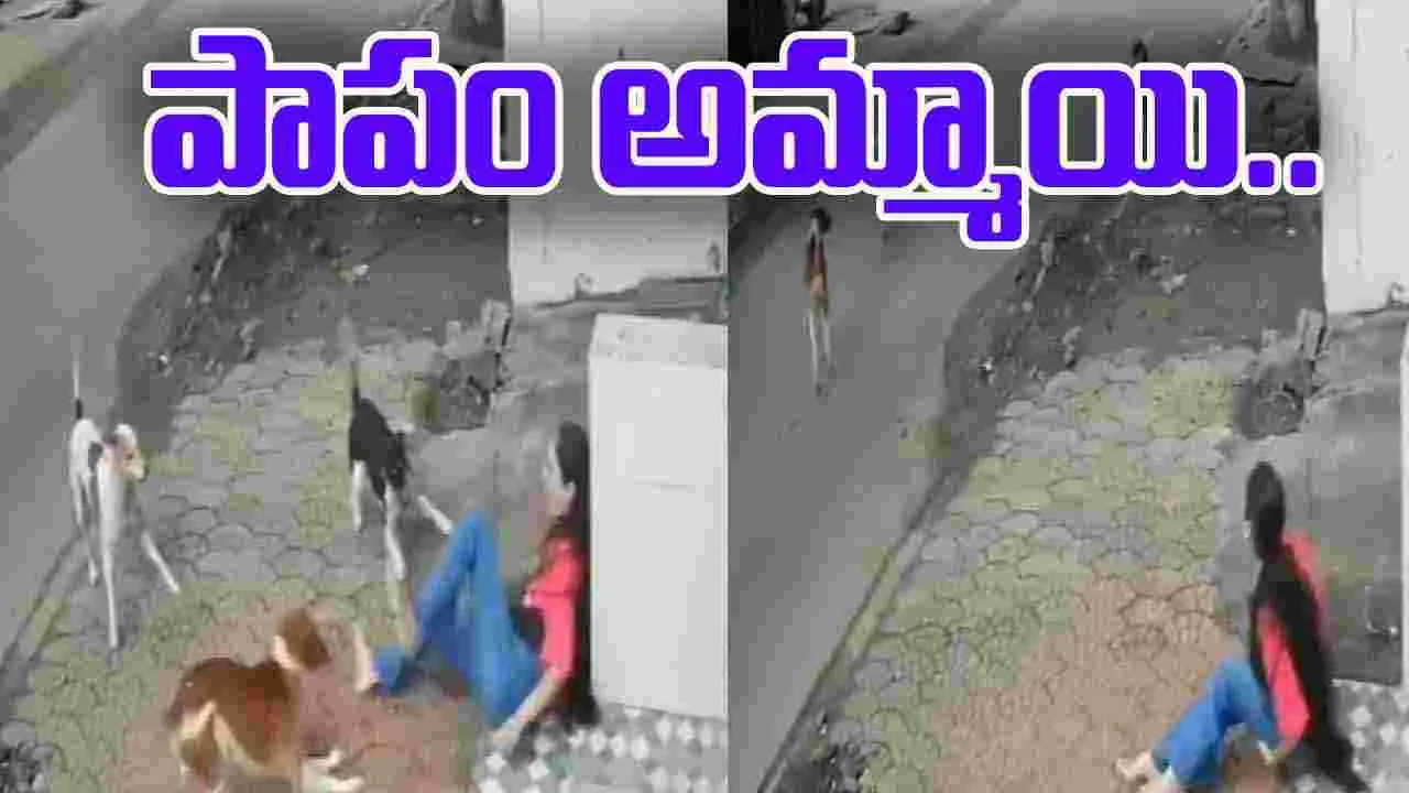 Stray Dogs: ఒక్కసారిగా అమ్మాయిపై దాడి చేసిన వీధి కుక్కలు..
