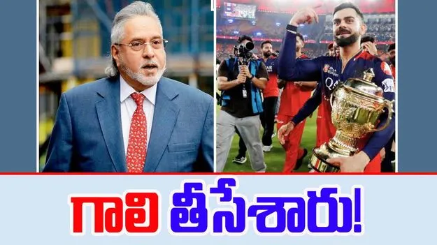 Vijay Mallya: కల నెరవేరిందన్న విజయ్ మాల్యా.. గాలి తీసేసిన ఎస్బీఐ!