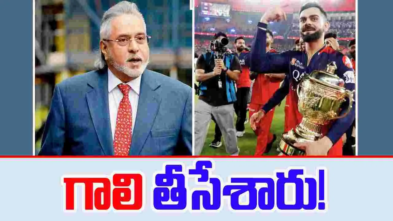 Vijay Mallya: కల నెరవేరిందన్న విజయ్ మాల్యా.. గాలి తీసేసిన ఎస్‌బీఐ!