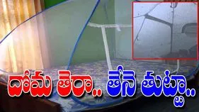 Mosquito Viral Video: దోమ తెర వేసుకోమనేది ఇందుకే.. ఇతను ఎలాంటి పరిస్థితిలో ఉన్నాడో చూస్తే.. 