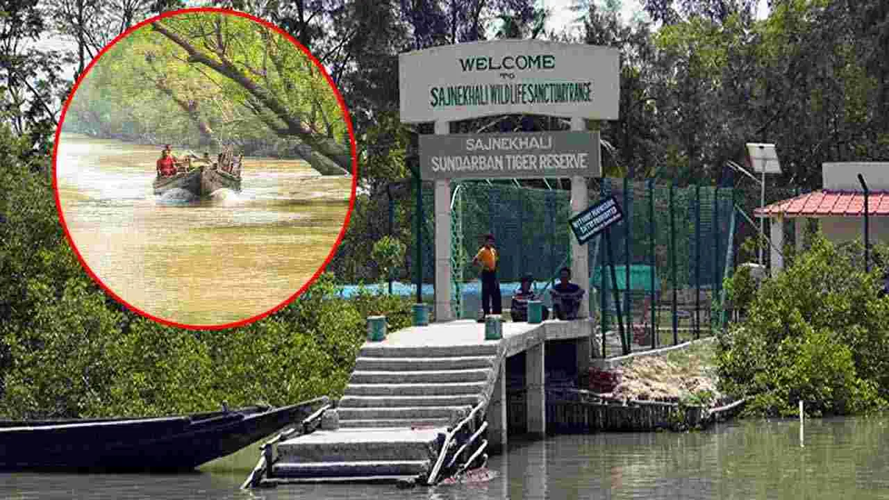 Wildlife Safari Tour: వణ్యప్రాణులను చూడటానికి దేశంలోని 5 ఉత్తమ ప్రదేశాలివే..