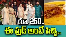 Ambanis Favourite Dish: రూ.250ల ఈ ఫుడ్ అంటే అంబానీ ఫ్యామిలీకి చాలా ఇష్టం..