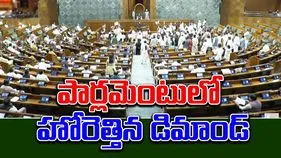 Parliament Debate Bihar Voters: ఓటర్ల జాబితా వివాదం.. లోక్‌సభలో నినాదాలు, నిరసనలు