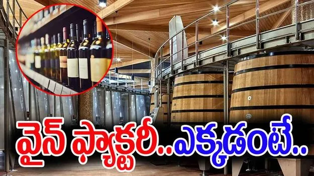 Wine Industry: కొత్త వైన్ పరిశ్రమ