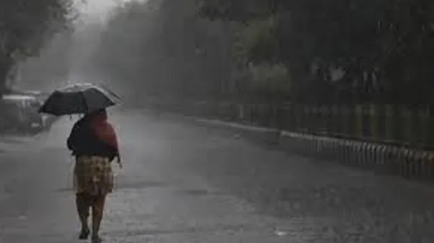 Southwest Monsoon: నైరుతి ద్వితీయార్ధంలో మంచి వర్షాలు